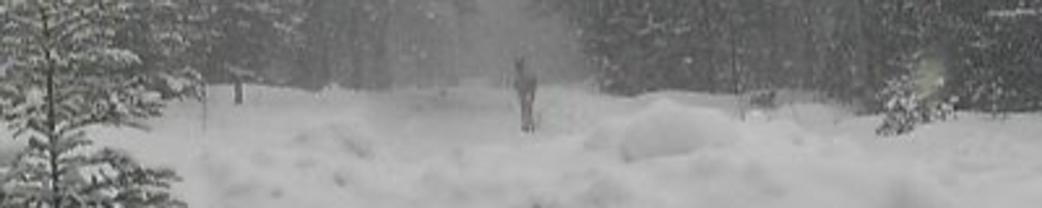 Cover for Kenneth Ray Russell's Obituary