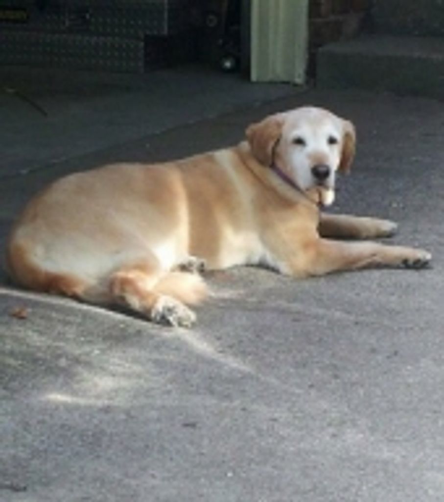 Chloe Rudholm Profile Photo