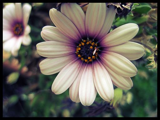 Wanda J. Barker's obituary image