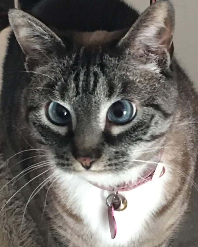 Phoebe Profile Photo