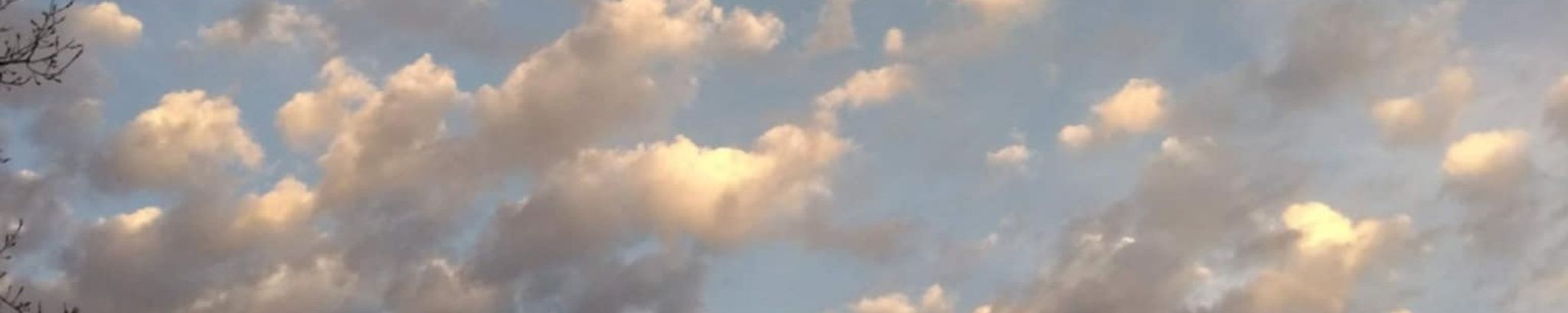 Cover photo for Paul Treter's Obituary