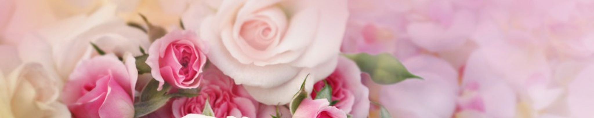 Cover for Betty Jean Scott's Obituary