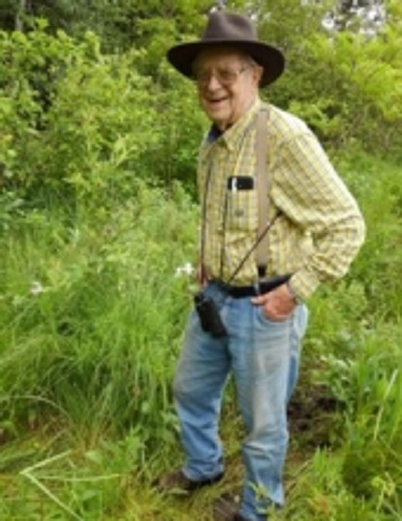 Francis stehli Profile Photo