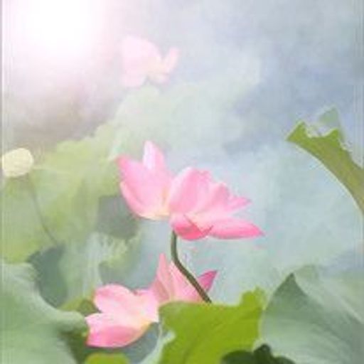 Marjorie Peterson Profile Photo