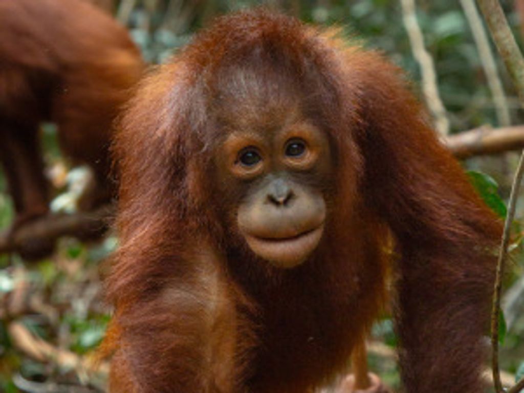 Anita Louise Spencer Profile Photo