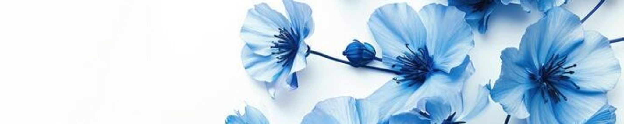 Cover photo for Correne Patricia Hawkins's Obituary