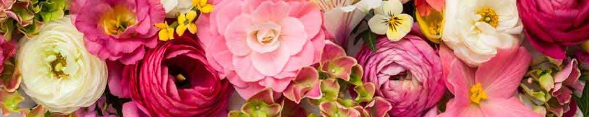 Cover for Sonja S. Nelson's Obituary