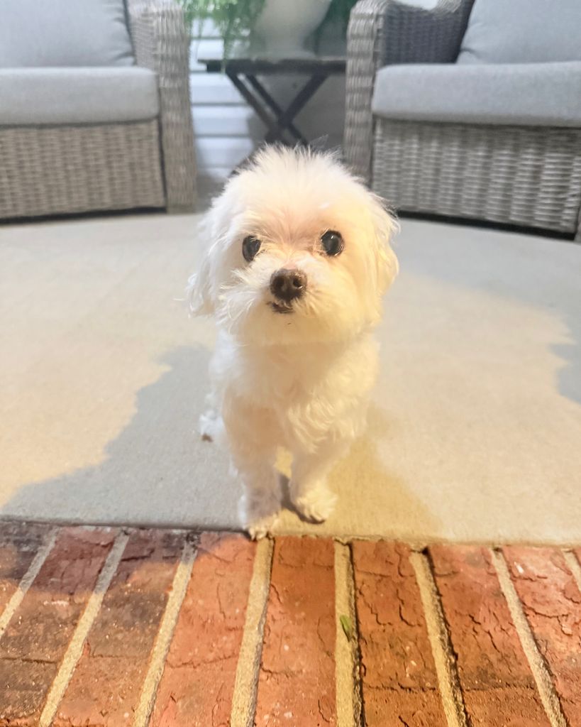 Marley Shepard Profile Photo