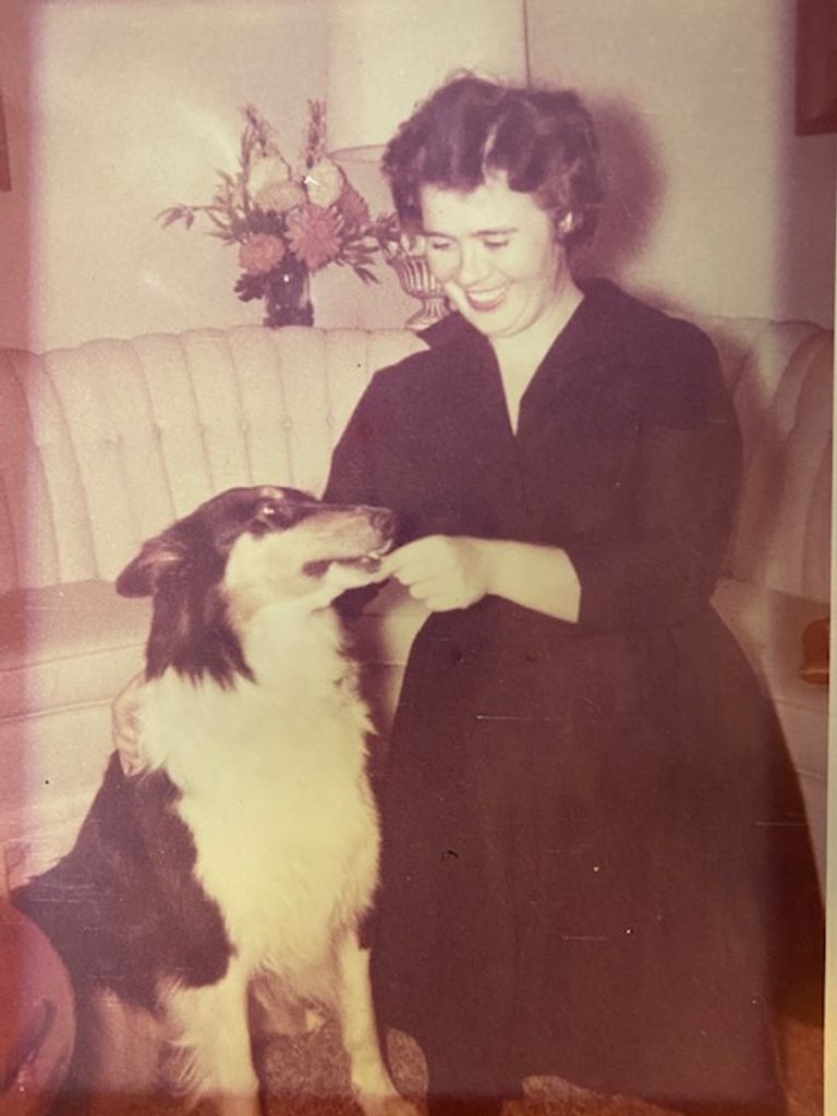 Janet Wilcox