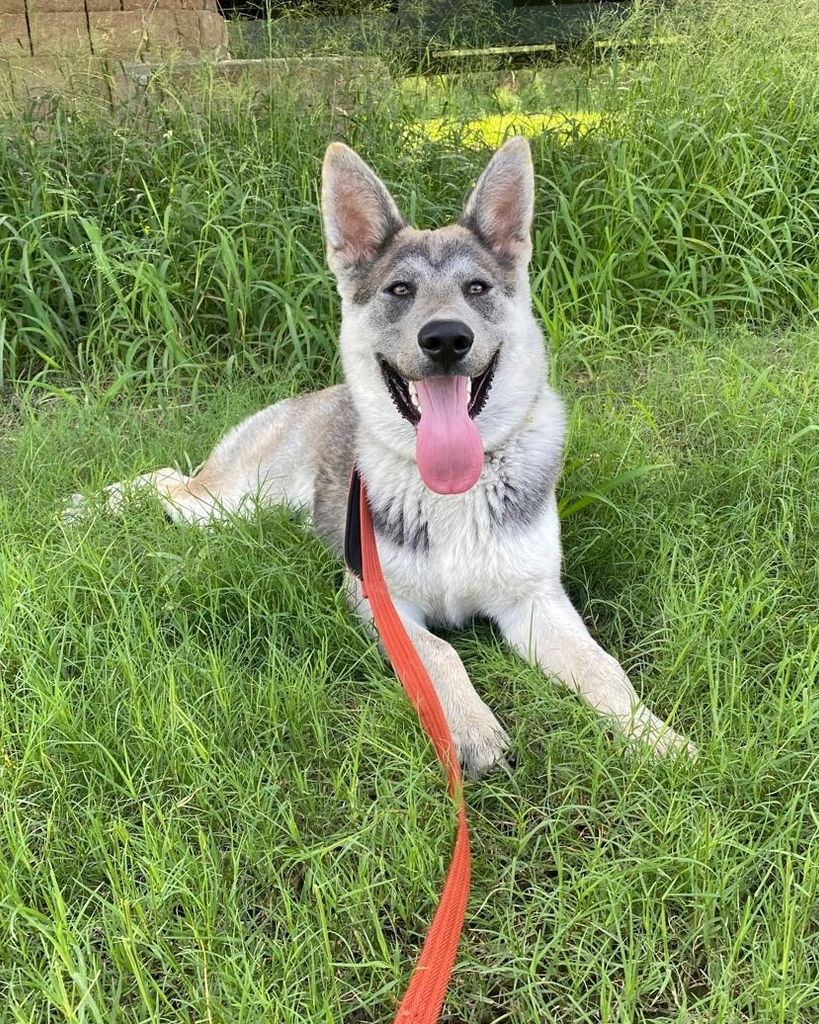 Zeus 🖤 Profile Photo