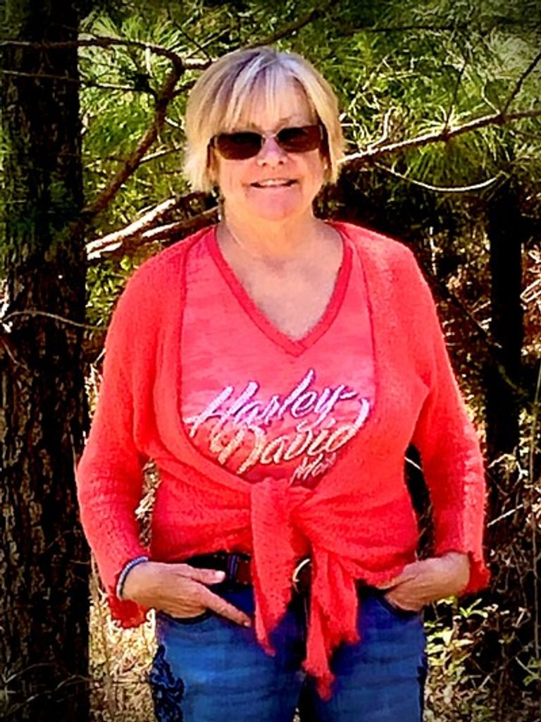 Terri Lee Perkins Profile Photo