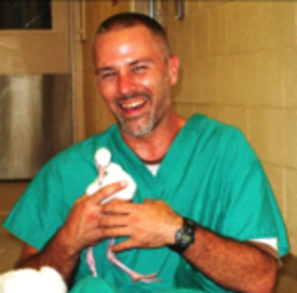 Thomas David Wall Profile Photo