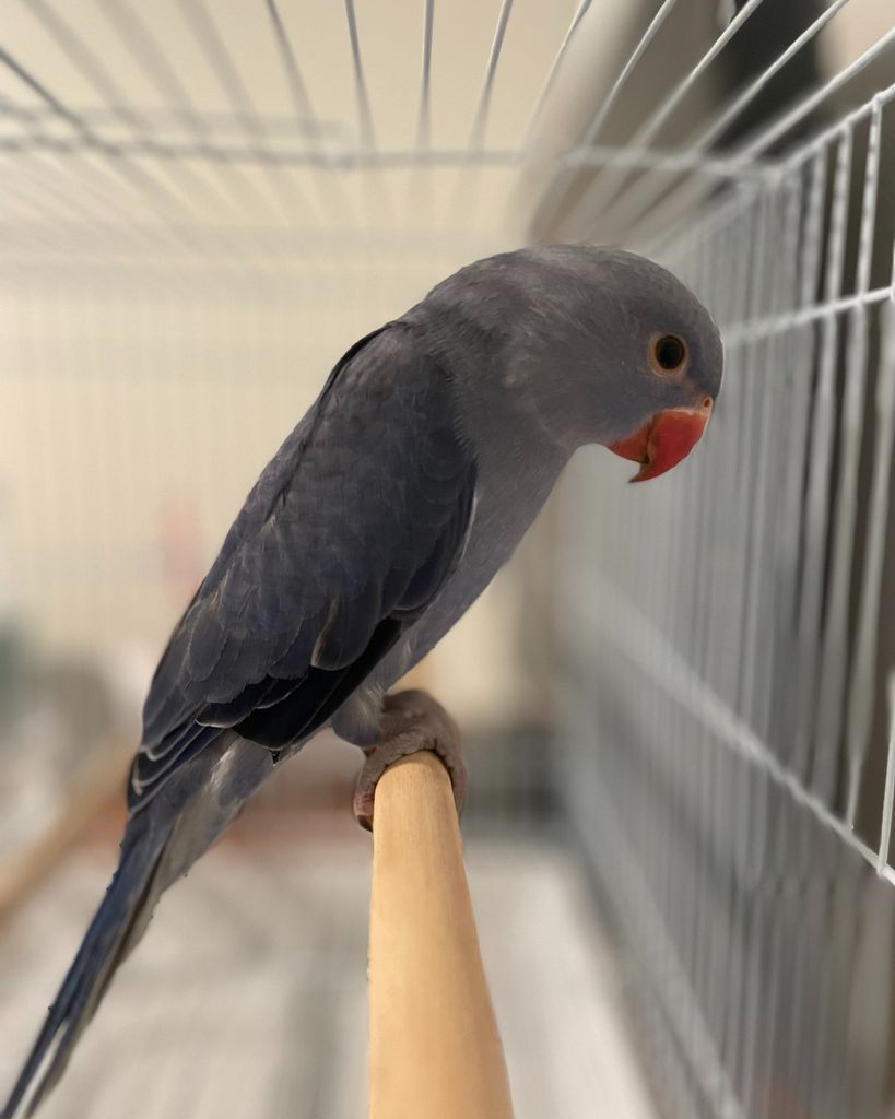 Luna Diaz Profile Photo