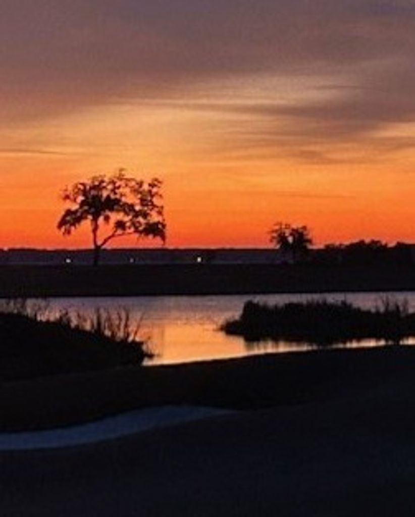 Terri Rodney-Brown Profile Photo