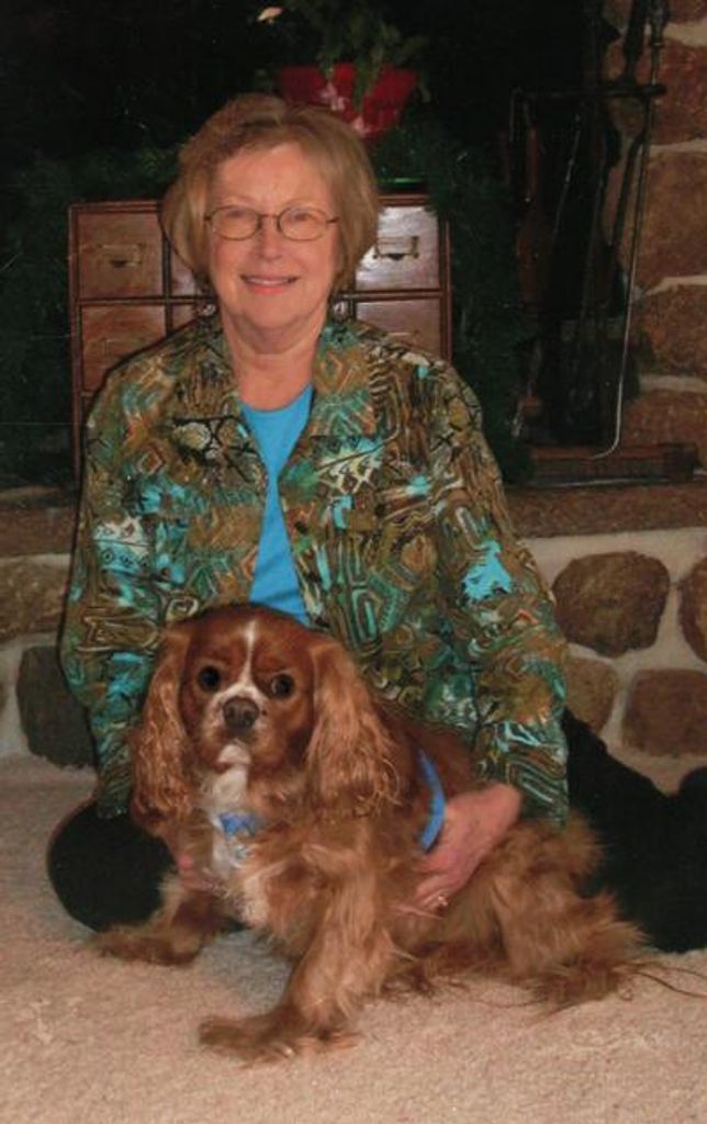 Dawn M. Freeman Profile Photo