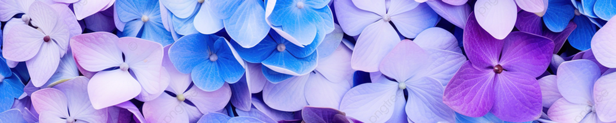 Cover photo for Lois Schneider's Obituary