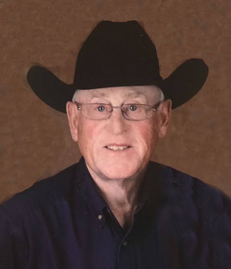 Dave L. Lensegrav Profile Photo