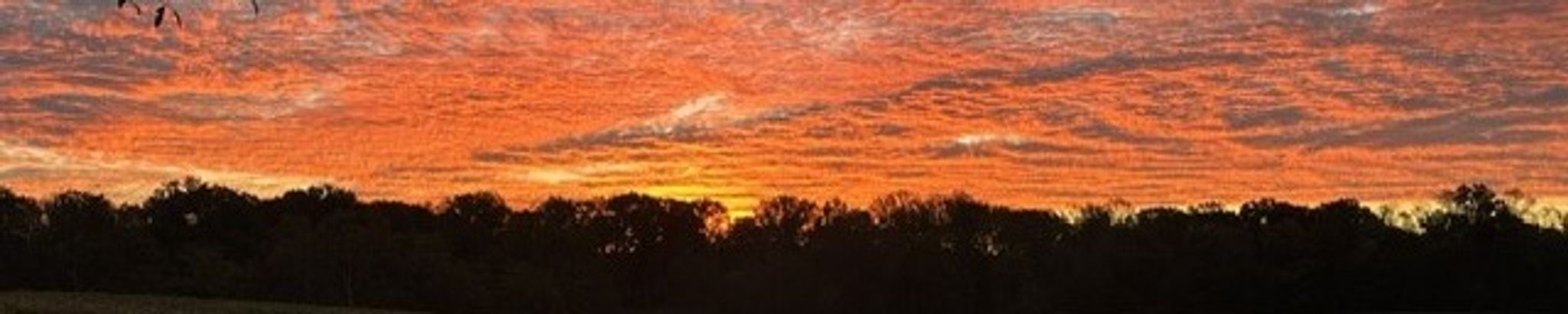 Cover for Antoinette Nancy Novak's Obituary