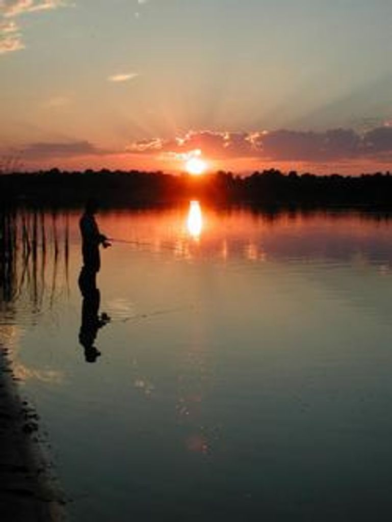 Donald "Don" G. Kessler Profile Photo