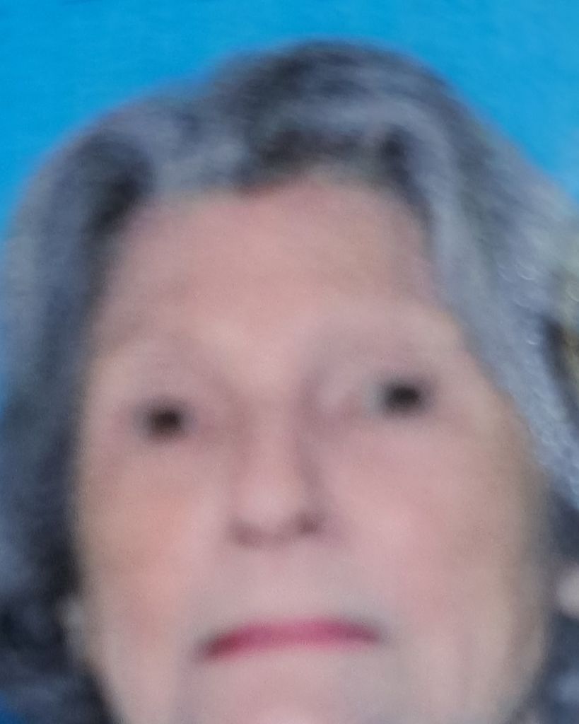 Frances Annie Freeman Sayes
