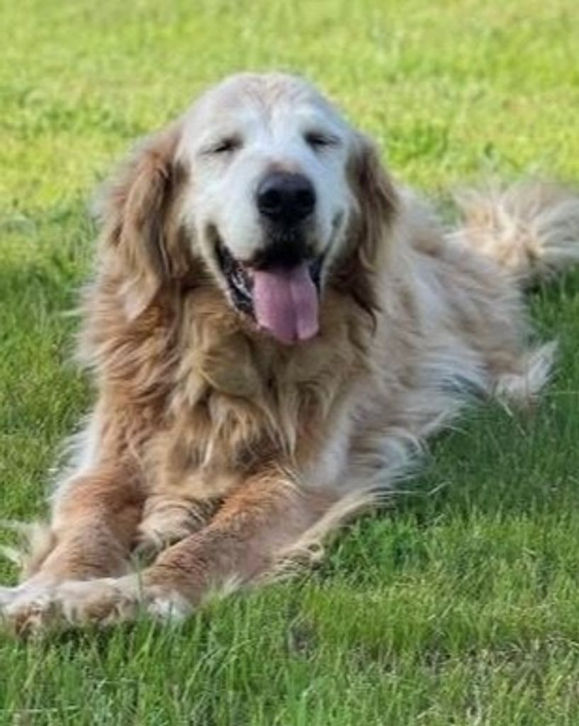 Knox Pemberton Profile Photo
