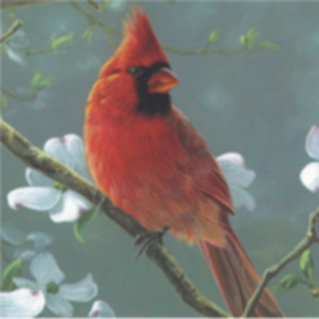 Eugene Floyd Adams Profile Photo