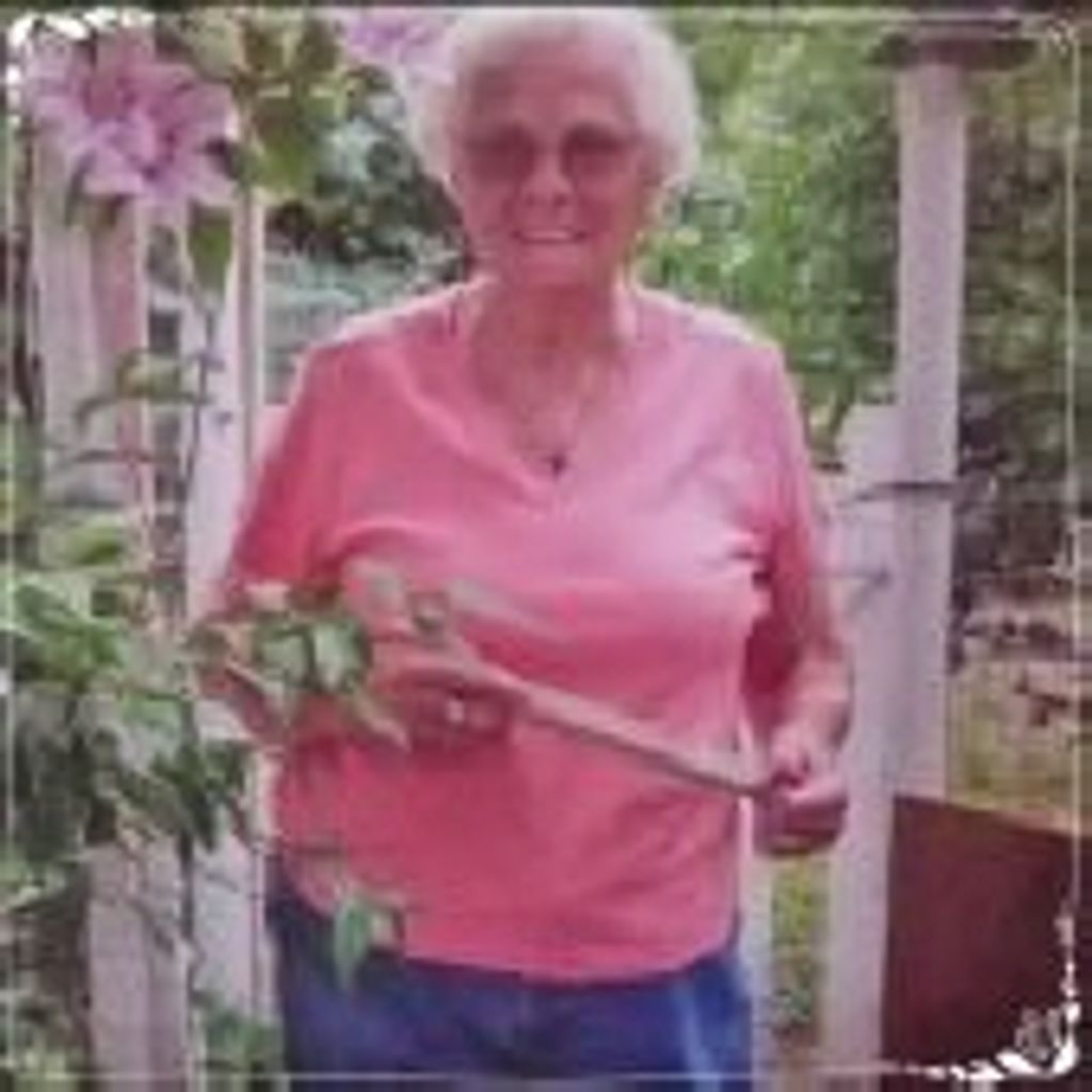 Jean Donaldson Profile Photo
