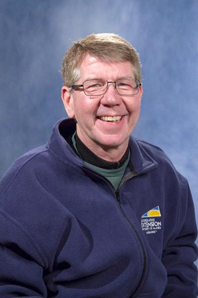Stephen Castlebury Brown Profile Photo