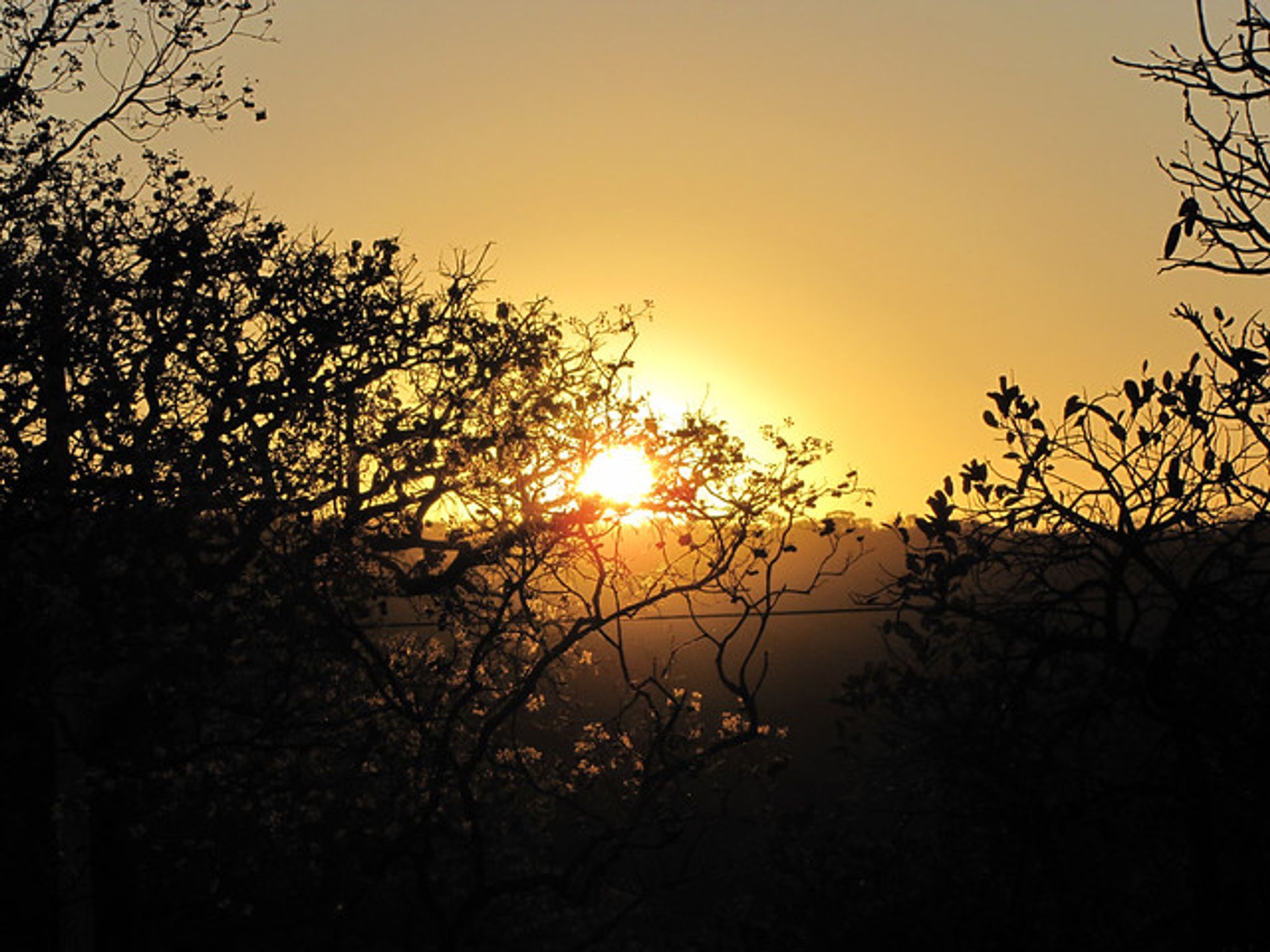 Cover for Nelda Stokley's Obituary