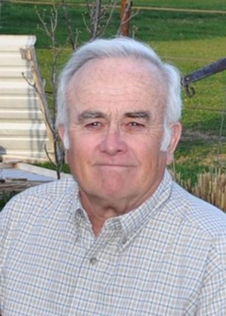 Layne Jackson