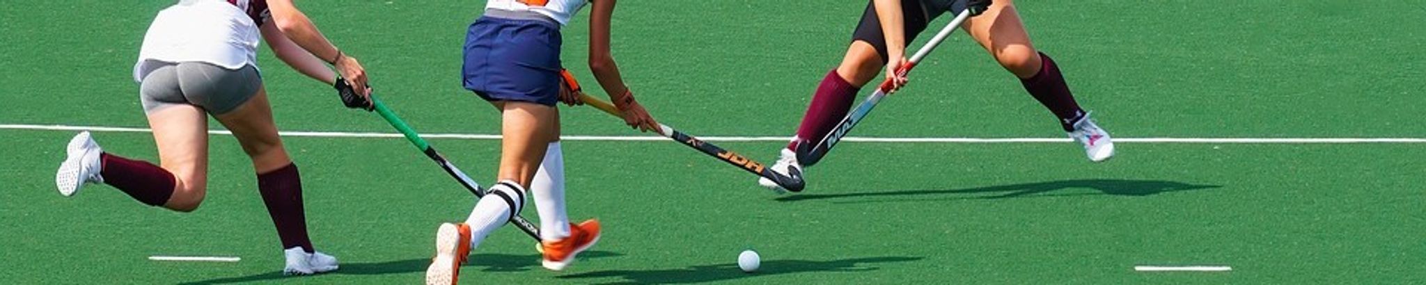 Cover for Carol R. Anderson's Obituary