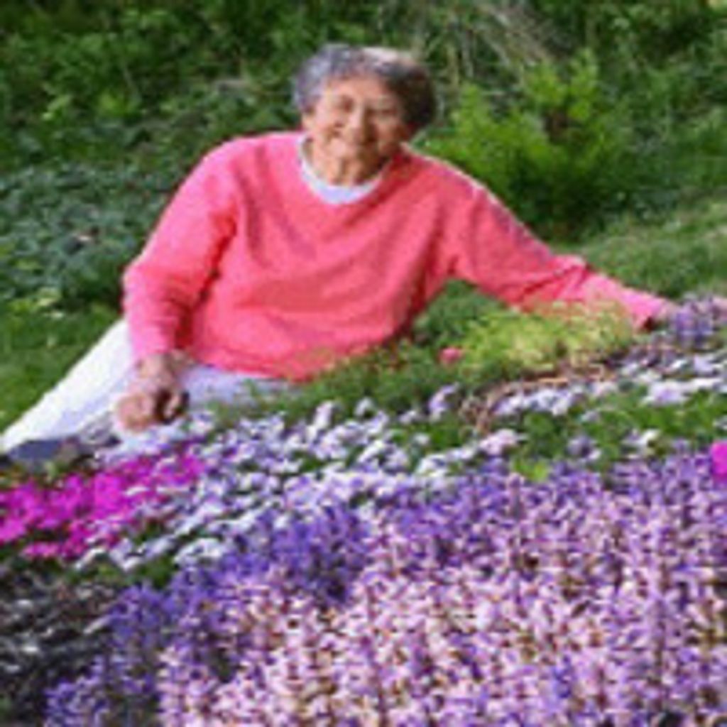 Eleanor R. Drasheff