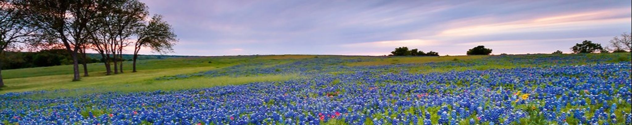 Cover photo for Helene Margarete Thompson's Obituary