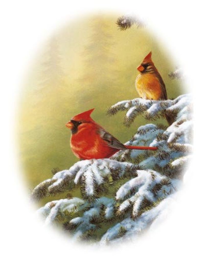 Jane L. (Drum)  Dirk