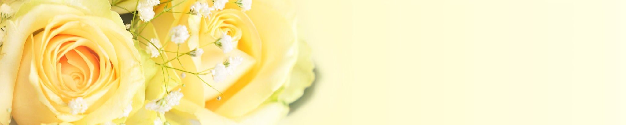 Cover photo for Carla A. Korish's Obituary