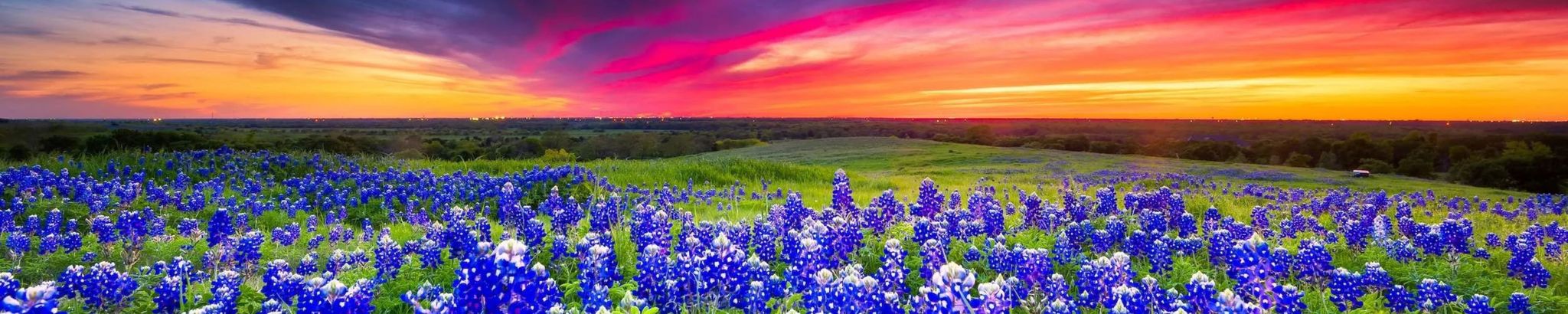 Cover for Marlene Riddle's Obituary