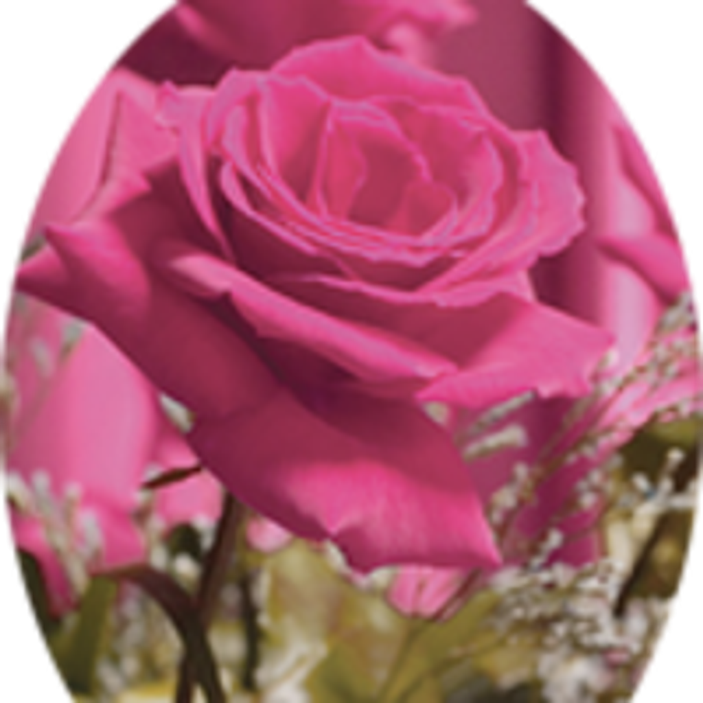 Barbara L. Brace (Harrington)
