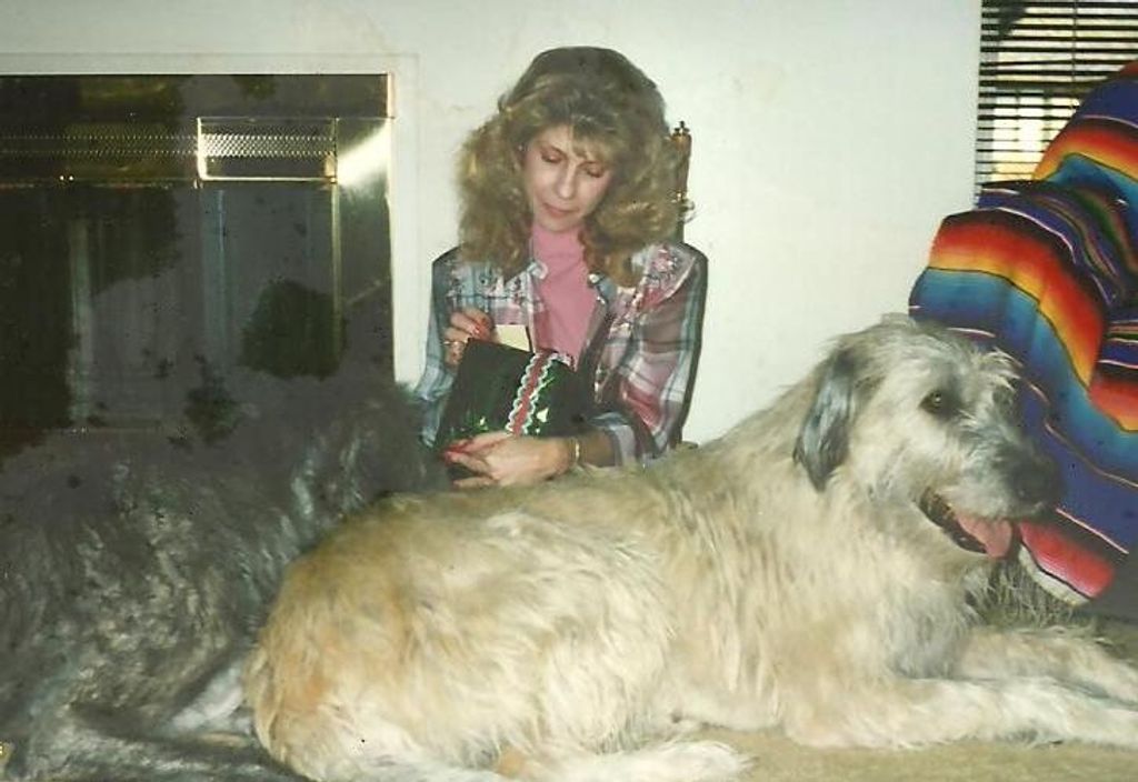 Marilyn Sue Collins Profile Photo