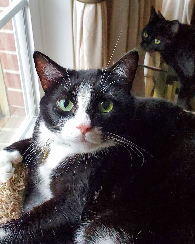 Tyler aka Mr. T Profile Photo