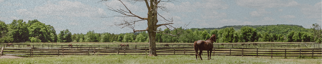 Cover photo for Patrice K. Kenderdine's Obituary
