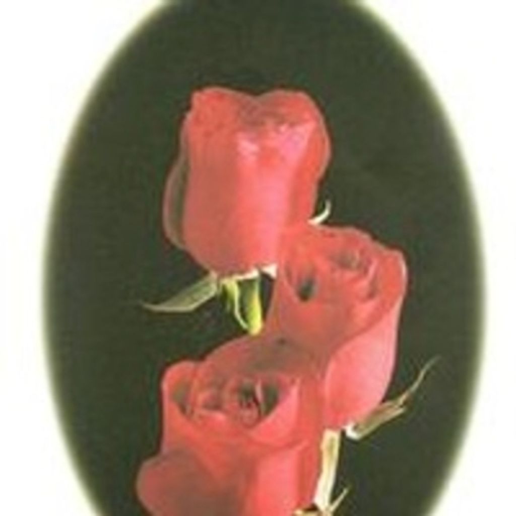 Marion Virginia Herrin Block