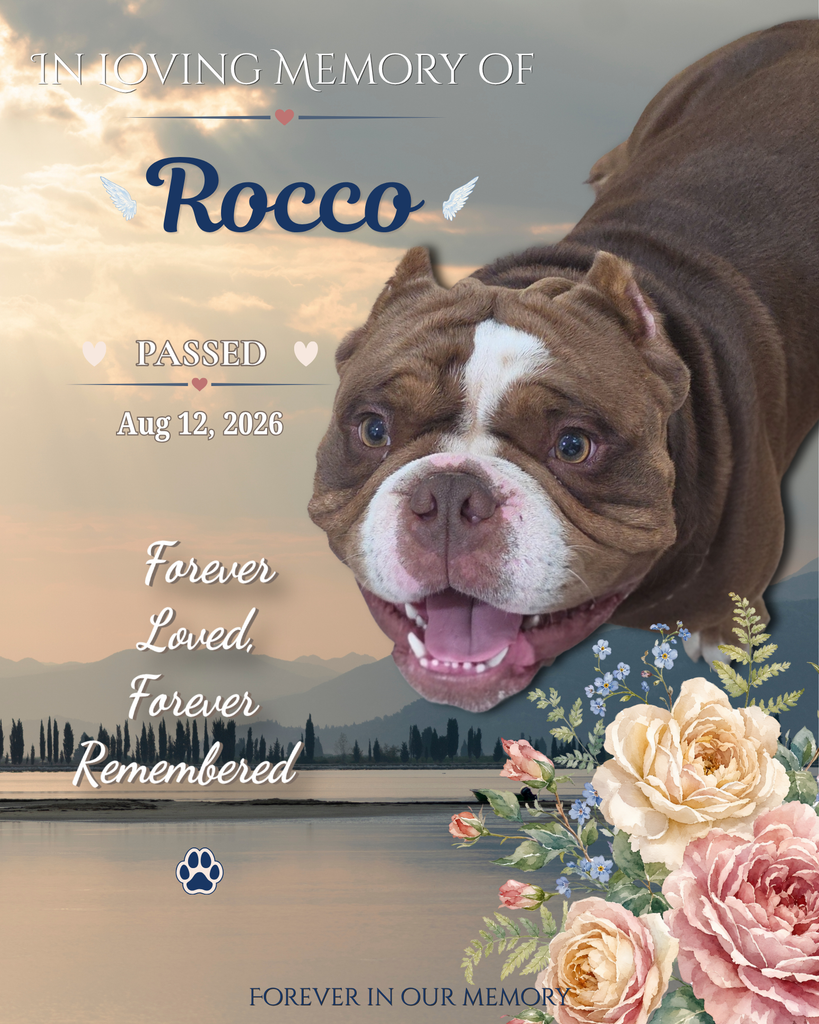 Rocco Profile Photo