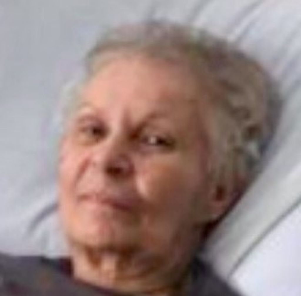 Patricia A. (Miller)  Baines