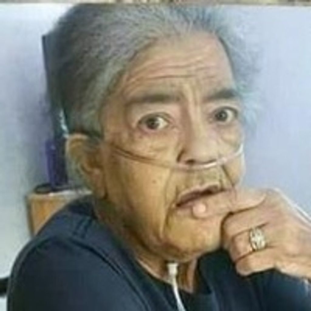 Hedy  Lee Hammonds-Tormey Profile Photo