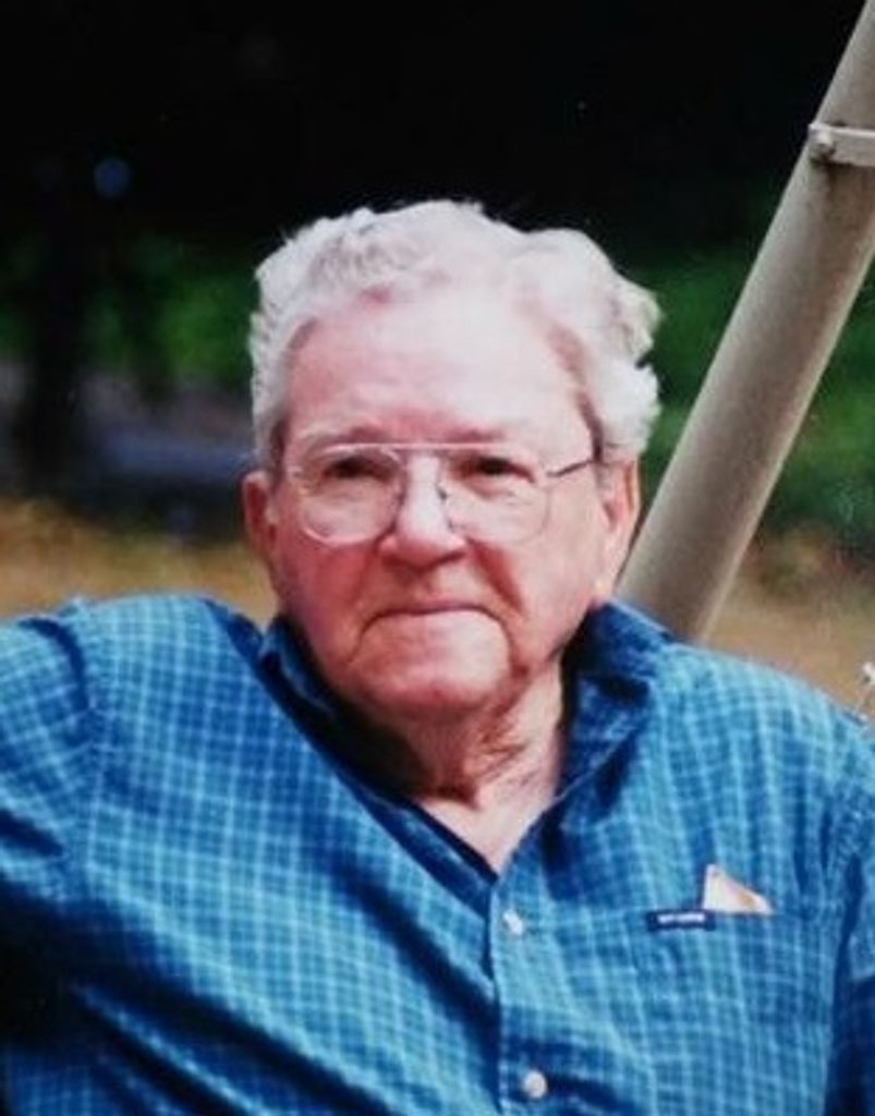 Ray L Lanier