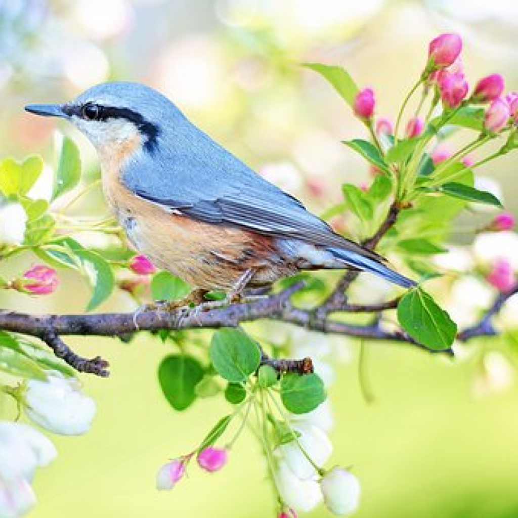 Lavonda Marie Burchett Profile Photo