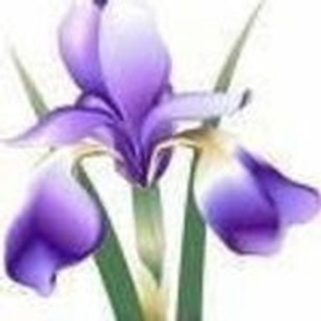 Ivy Dell Berry Profile Photo