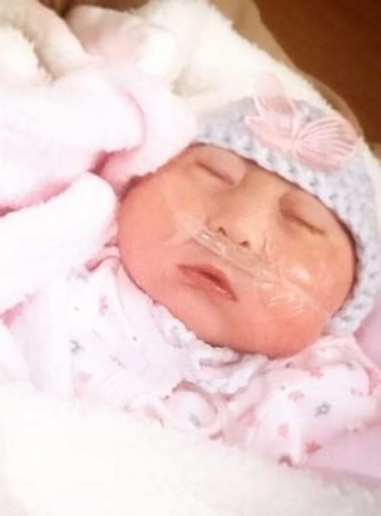 Adelaida Zuniga