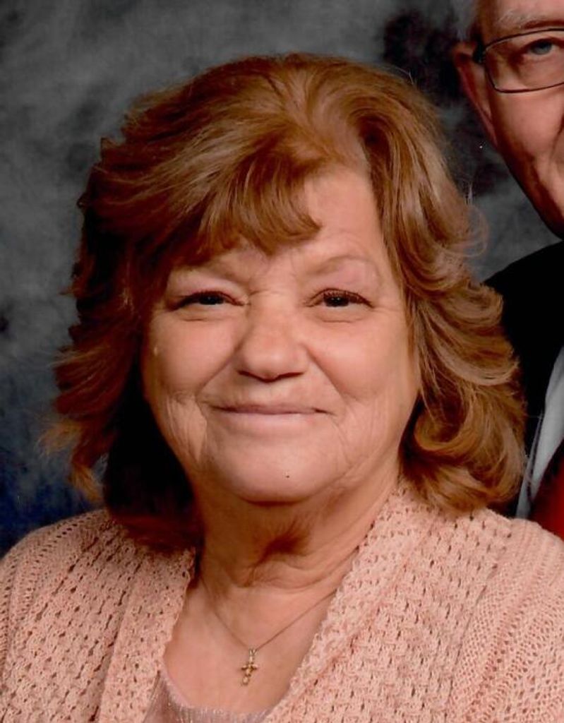 Nancy E. (Dinatle)  Varner Profile Photo