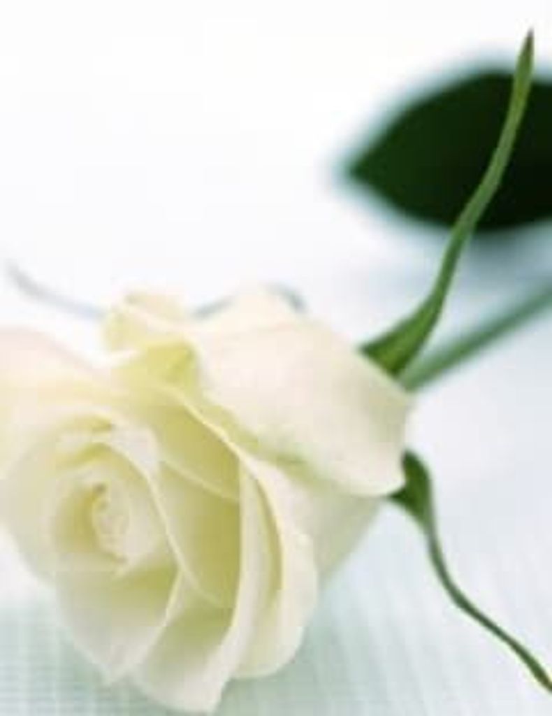 Willie G. Smith Jr. Profile Photo